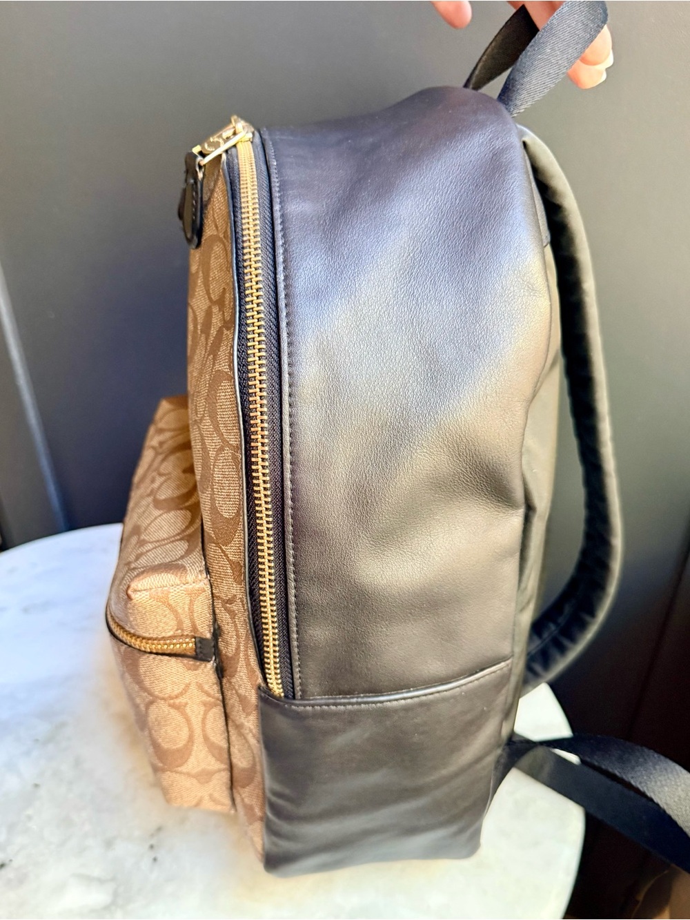 Coach Signature Medium Charlie
Backpack | Khaki/Brown | Customized
Gold Hangtag - Picture 7 of 16